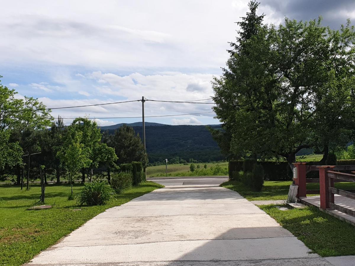 Apartment Asgard Drežnik Grad Exterior foto